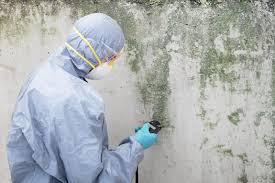 Mold Odor Removal Services in Hasson Heights, PA